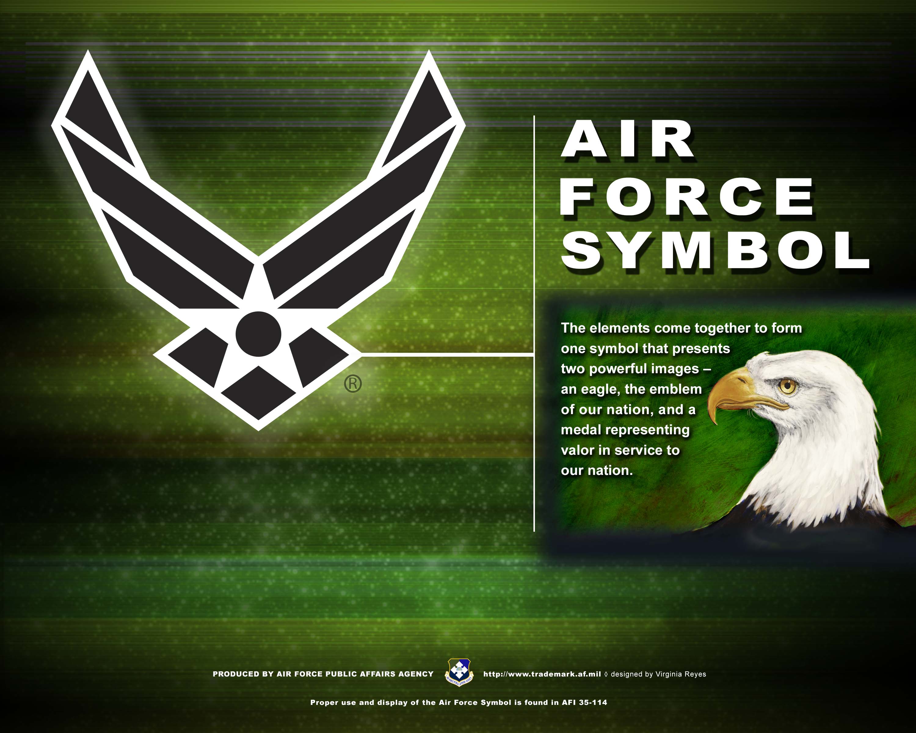 Air Force Symbol Poster